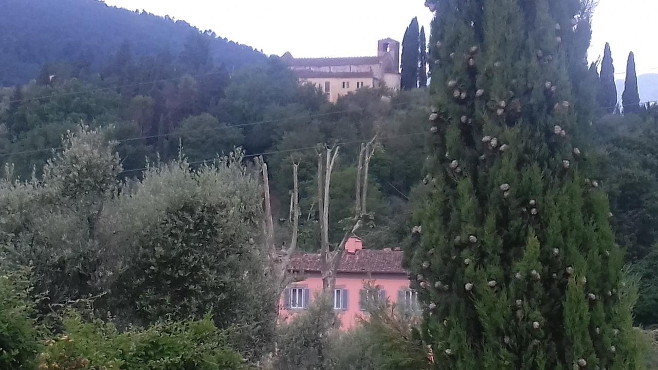 Villa Agnolaccio Residenza D'Epoca ปิสโตยา ภายนอก รูปภาพ